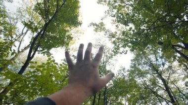 Yeşil yapraklardan oluşan bir gölgeye doğru uzanan bir el doğaya dalmaktan gelen özgürlüğü, farkındalığı ve yenilenmeyi somutlaştırıyor..