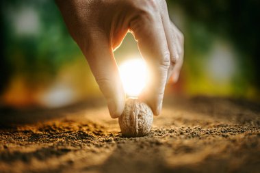 Eller yumuşak güneş ışığıyla aydınlatılan tohumları yavaşça zengin toprağa yerleştirir ve büyüme ve yaşam için besleyici bir ortam yaratır. Topraksı sahne doğayla bağlantıyı iletir..
