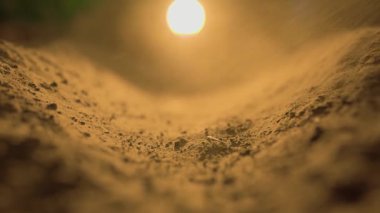 Ellerin, altın güneş batarken nazikçe toprağı kazıp kumlu toprakta sıcak bir parıltı yayarak huzurlu ve huzurlu bir atmosfer oluşturduğu görülebilir..