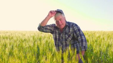 Kareli gömlekli yaşlı bir adamın şapkasını ayarlayıp gülümsemesi ve buğday tarlasında çalışırken bulutsuz gökyüzüne bakması. Kıdemli çiftçi buğday tarlasında başlık ayarlıyor