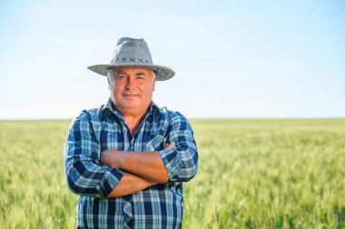 Mutlu kıdemli çiftçi şapkayla tarlada duruyor ve yaz günü çimenli tarlada dikilirken çapraz kollarla kameraya bakıyor.