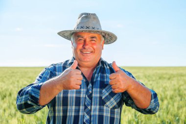 Olumlu yaşlı erkek işçi, kırsal kesimde yeşil bitkilerle tarımsal alanda dikilirken kameraya doğru bakıyor.