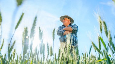 Yazın kırsal kesimde yeşil bitkilerle birlikte tarımsal alanda duran şapkalı olgun erkek işçilerden. Çiftlik arazisindeki ciddi yaşlı çiftçi kopyalama alanı