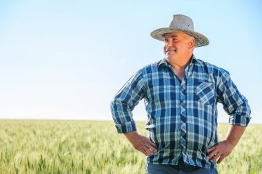 Memnun kıdemli erkek işçi, yaz günü kırsal kesimde bitkilerle yeşil tarlada dikilirken merakla başka tarafa bakıyor. Tarlada dikilen hasretli çiftçi