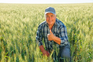 Neşeli yaşlı çiftçi kameraya bakıyor ve kırsal kesimdeki yeşil tarım çiftliğinde otururken başparmağını kaldırıyor. Kırsal kesimde iyi bir çiftçi.