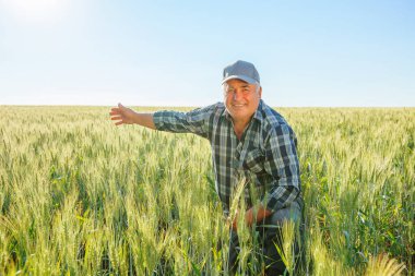 Şapkalı neşeli yaşlı erkek işçi kameraya bakıyor ve kırsal kesimde yeşil bitkilerle tarlada otururken uzaklaşıyor. Gülümseyen çiftçi tarlayı işaret ediyor
