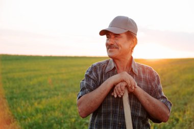 Tarım çiftliğinde bıyıklı neşeli bir erkek işçinin portresi. Güneş ışığı. Tarım çiftçiliği. Tarlada gülümseyen yaşlı çiftçi, kopyalama alanı