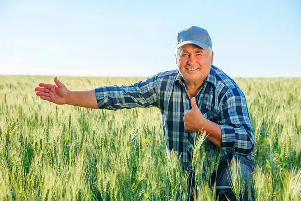 Kareli gömlekli yaşlı çiftçi kameraya bakarken baş parmağını kaldırıyor ve tarım alanında işaret ediyor. Çiftçinin tarım alanında el hareketi yapması