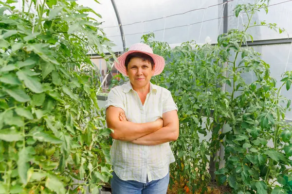 Serada kolları çaprazlanmış, gülümseyen, yaşlı kadın botanikçinin portresi. Olgun bir kadın modern geniş serada kollarını kavuşturup kameraya bakıyor.