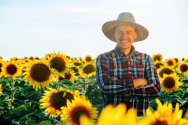Mutlu bir çiftçi kolları bağlı ayçiçeklerinin arasında duruyor. İşçi adam hasadında gülümser ve sevinir. Erkek ve kopyalama alanı