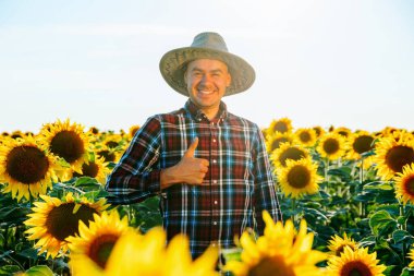 A smiling young man farmer stands in a field with sunflowers and with thumb up. Successful young agronomist looking at camera is happy. The male raised a good harvest. good job and copy space