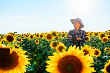 Şapkalı bir çiftçinin portresi bir gün batımında ayçiçekleriyle dolu bir tarlada duruyor. Adam tarlaya bakıp gülümsüyor. O, kollarını göğsüne kadar katladı. İnsan ve kopyalama alanı.