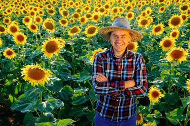 Şapkalı mutlu bir çiftçi, ayçiçekleriyle dolu bir tarlada duruyor. Tarım uzmanının iyimser gülümsemesine sevindim. Kafasında bir şapka var. Yukarıdan bak. İnsan ve kopyalama uzayı. Arkaplan ayçiçekleri