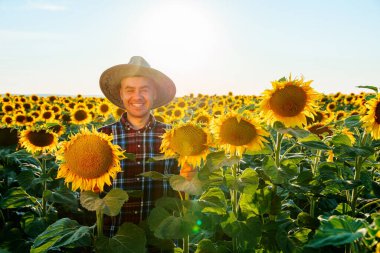 Genç çiftçi adam ayçiçeklerinin arasında durup gülümsediği için mutlu. Önünde büyük sarı bir çiçek var. Kafasında güneş şapkası var. Erkek Agronomist kalır ve kameraya bakar. Boşluğu kopyala