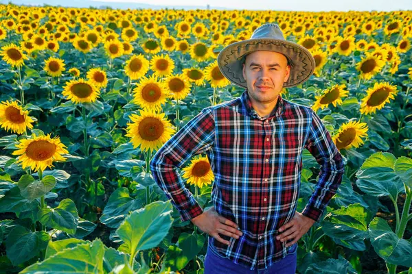Güneş şapkalı genç çiftçi ayçiçeği tarlasında duruyor. Adam ellerini kalçasında tutuyor ve mutlu bir şekilde gülümsüyor. Yukarıdan bak. İnsan ve kopyalama uzayı. Arkaplan ayçiçekleri