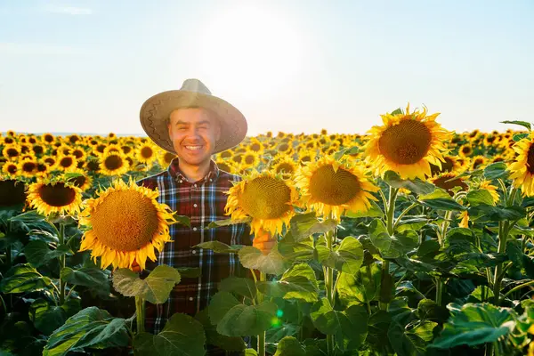 Genç çiftçi adam ayçiçeklerinin arasında durup gülümsediği için mutlu. Önünde büyük sarı bir çiçek var. Kafasında güneş şapkası var. Erkek Agronomist kalır ve kameraya bakar. Boşluğu kopyala