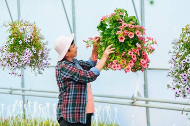 An elderly woman working at a greenhouse carefully examines the pots of flowers in the side view. The florist carefully and gently touches each flower so as not to miss anything. Copy space.
