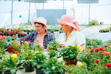 Front view looking at flowers in pots two women working in a flower greenhouse discussing their work. The flowers are of good quality and beautiful. Sales will be high and effective. Copy space.