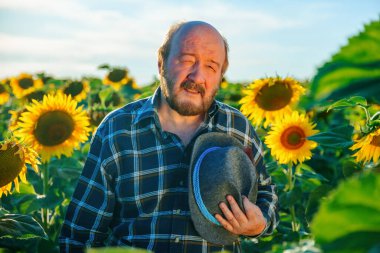 tired old farmer looking at the camera, he is in the field with sunflowers in a sunny summer day. senior male farmer holding hat in hand. exhausted worker
