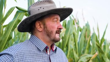 Sakallı kıdemli bir çiftçi tarlasında uzun mısır bitkilerinin arasında duruyor, geniş kenarlı bir şapka takıyor. 