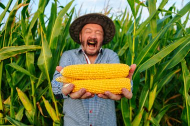 Sakallı yaşlı bir çiftçi canlı yeşil bir tarlada taze toplanmış mısır tutuyor. Sıcak güneş ışığı, zengin hasatı ve coşkulu ifadesini aydınlatıyor..