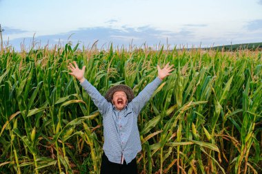 Sakallı kıdemli bir çiftçi uzun mısır saplarının arasında kollarını kaldırıyor. Sıcak yaz gökyüzü etrafında gelişen ekinlerin canlı yeşil tonlarını artırıyor..