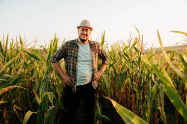 Bir çiftçi gülümsüyor ve uzun mısır bitkilerinin arasında ellerinin üzerinde poz veriyor. Güneş arkasından batıyor, canlı yeşil araziye sıcak bir ışık saçıyor, kırsal yaşamı gözler önüne seriyor..