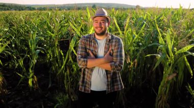 Bir çiftçi uzun mısır sapları arasında bir anlık düşüncenin tadını çıkarır. Güneş tarlada sıcak bir parıltı yayıyor, kırsal kesimdeki hayatın sakinliğini akşam ışığında yakalıyor..