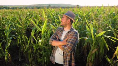 Bir çiftçi uzun mısır sapları arasında bir anlık düşüncenin tadını çıkarır. Güneş tarlada sıcak bir parıltı yayıyor, kırsal kesimdeki hayatın sakinliğini akşam ışığında yakalıyor..