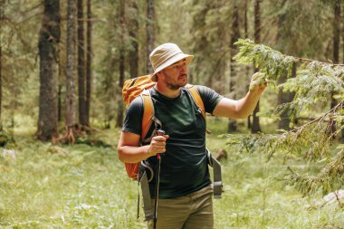 Başarılı bir araştırmacı yemyeşil bir ormandaki çeşitli bitkileri zevkle inceler. Yükselen ağaçlarla çevrili olan yürüyüşçü, doğadaki keşif ve keşif ruhunu somutlaştırıyor..