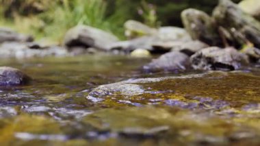 Bereketli yeşillik ve canlı tepelerle çevrili sakin bir vadiden zarif bir şekilde akan bir nehir. Güneş ışığı suyun üzerinde dans eder ve masaüstü için ideal bir ortam yaratır..