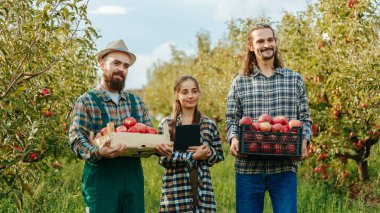 Ön manzara mutlu bir gülümseme. Meyve bahçesinde üç çiftçi duruyor. Ekinler ve elektronik tabletlerle dolu kutular. Erkekler ve kadınlar yaptıkları işten memnunlar. Hasat toplandı..