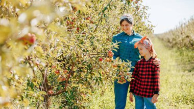 İki birey yemyeşil bir meyve bahçesinde olgun elmalar topluyor. Gündelik giysiler içinde, açık mavi gökyüzünün altında canlı ağaçlarla çevriliyken bir anlık neşe paylaşıyorlar..