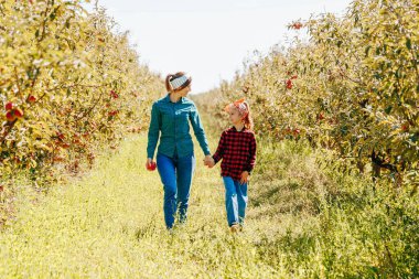 İki kişi kırmızı elma taşıyan yemyeşil ağaçlarla çevrili bir meyve bahçesinde elma toplamaktan hoşlanır. Bir çocuk, hem gülümseyen hem de cömert hasadı takdir eden bir yetişkinin elini tutar..