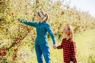 Bir kadın ve bir çocuk canlı bir meyve bahçesinde birlikte elma toplamaktan zevk alırlar. Sıcak havada açık mavi gökyüzünün altında, kırmızı meyvelerle dolu ağaçlarla çevrilidir..