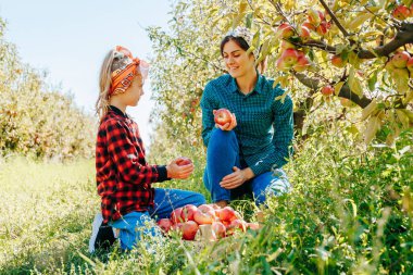 İki birey yemyeşil bir meyve bahçesinde elma toplarken gülümsüyor. Güneşli bir gün ve ağaçlar olgun meyvelerle dolu. Birlikte hasattan zevk alıyorlar, hatıralar yaratıyorlar..