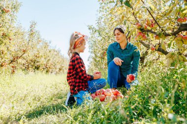 İki birey meyve dolu ağaçlarla çevrili bir meyve bahçesinden elma toplamaktan hoşlanırlar. Atmosfer sıcak ve neşeli, hasat mevsiminin neşesini yansıtıyor..