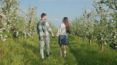 Aydınlık bir bahar gününde çiçek açan ağaçlarla dolu bir meyve bahçesinde el ele gezen mutlu çift. Doğada yakalanan tatlı an taze güzellik.