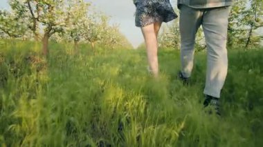 Bir çift sıcak güneşin altında çiçek açan yemyeşil bir meyve bahçesinde el ele yürür. Kaygısız hareketleri bu resim ortamında neşe ve bağlantıyı simgeliyor..
