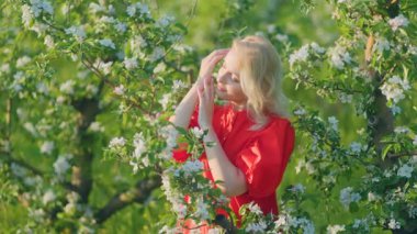 Parlak kırmızı elbiseli sarışın kadın yemyeşil bir meyve bahçesinde çiçek açan ağaçların arasında duruyor. Gözleri kapalı ve gülümsüyor bahar güneşinde yüzüne dokunurken..