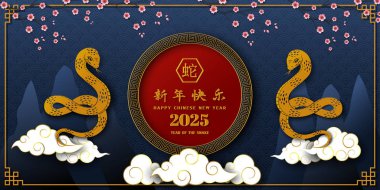 Yeni yılın kutlu olsun 2025 yılan burcuyla, Çince çevirisi mutlu yıllar 2025, yılanın yılı, vektör illüstrasyonu