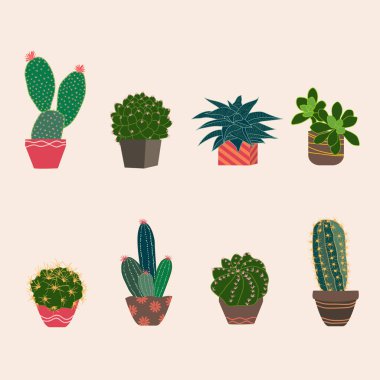 Kaktüs ve sulu bitkiler, vektör çizimi