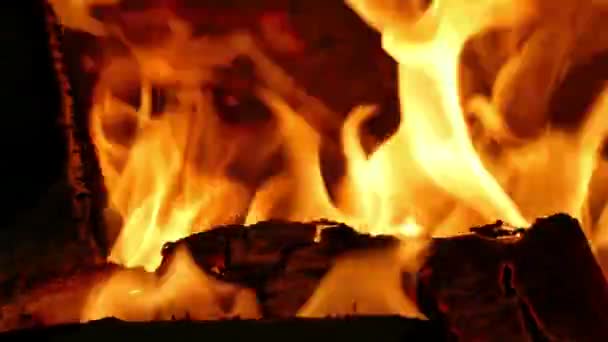 Log Fire Winter Time — Αρχείο Βίντεο