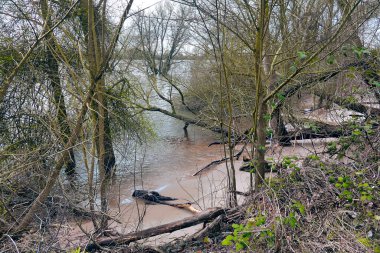Parktaki nehrin güzel bir görüntüsü.