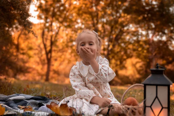 Маленькая Милая Девочка Фонариком Осеннем Лесу — стоковое фото