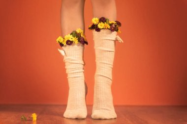 Close-up legs of a little girl with fresh flowers in socks