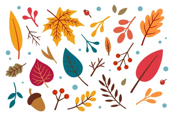 Набор Элементов Осеннего Дизайна Векторная Цветочная Иллюстрация Коллекция Осенних Листьев — стоковый вектор
