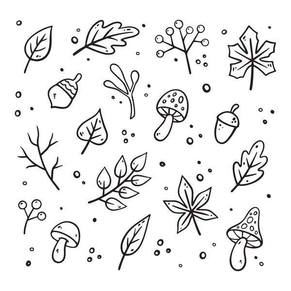 秋季设计元素设置 病媒植物图解 秋天的树叶收集 秋天的元素 平面设计 涂鸦风格 — 图库矢量图片