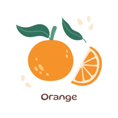 Turuncu çizim. Meyve illüstrasyonu. Turuncu ikon. Organik vitaminler ve sağlıklı beslenme. Yeşil yaprak ve tohumlarla izole edilmiş turuncu. Düz dizayn, karalama tarzı. T-kısaltması için grafiksel baskı. Vektör