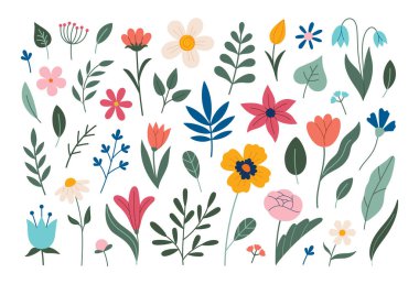 Çiçek koleksiyonu. Beyazda izole edilmiş farklı çiçekler. Vektör çizimi. Yaz ve bahar çiçekleri ve bitkiler. El yapımı haşhaş, lale, şakayık, narsist, karalama tarzı, düz tasarım..